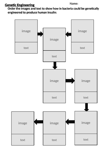GCSE Genetic Engineering insulin Cut and Stick activity and Answers