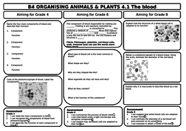 AQA GCSE 9-1 Biology B4 Revision Sheets (differentiated) | Teaching ...