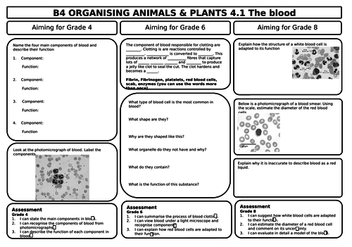 Aqa Gcse 9 1 Biology B4 Revision Sheets Differentiated Teaching 7301