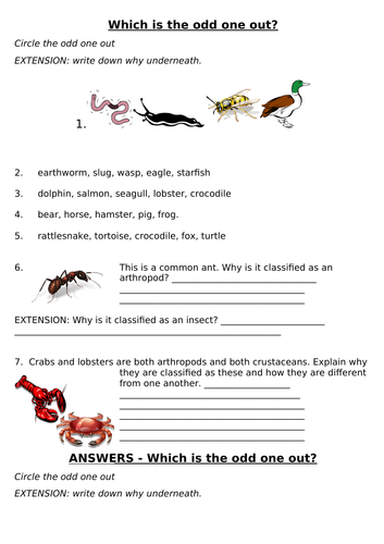 Classification Vertebrates, Invertebrates and Arthropods - Odd one out