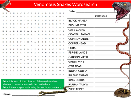 Venomous Snakes Wordsearch Sheet Starter Activity Keywords Animals