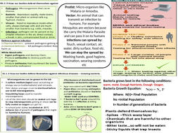 Infections and Response Revision MAT and Questions MAT | Teaching Resources