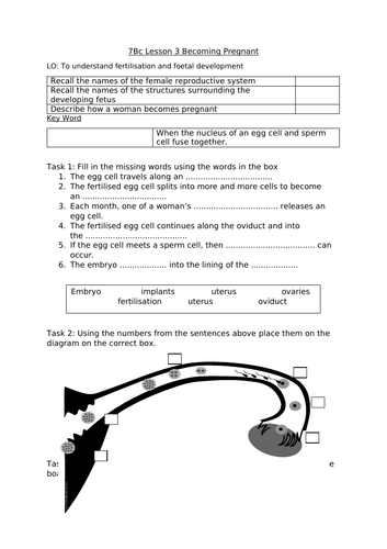 docx, 27.35 KB