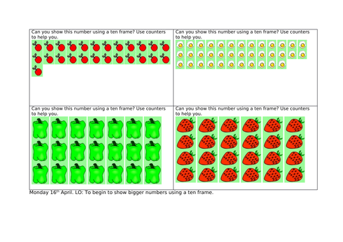 White rose sol picture