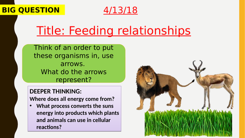 AQA new specification-Feeding relationships-B16.1