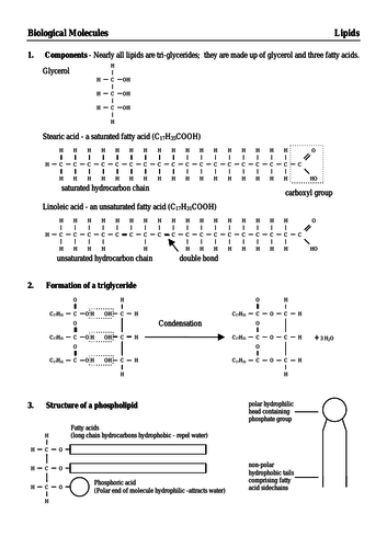 pdf, 30.08 KB