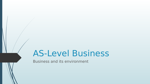 AS Business - Business and its environment