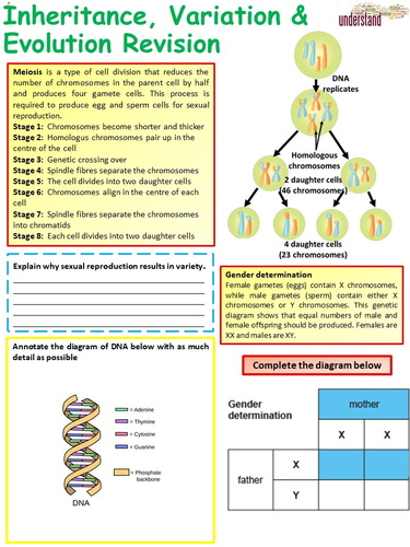 Aqa 1 9 Gcse Biology Science Inheritance Variation And Evolution