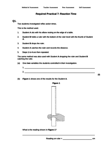 7-gcse-biology-topic-1-ideas-biology-revision-gcse-biology-revision