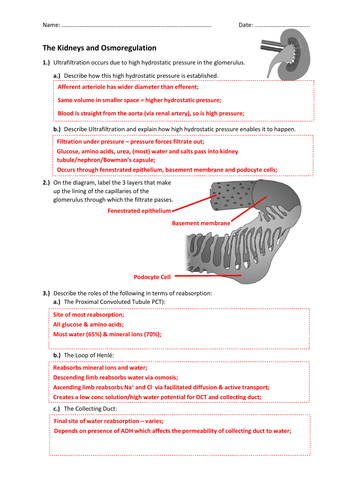 pdf, 403.49 KB