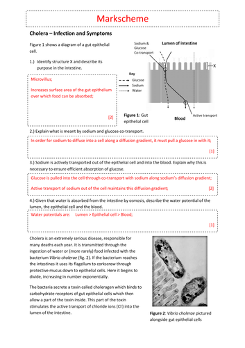 pdf, 397.73 KB