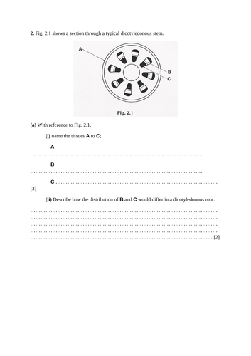 docx, 549.58 KB