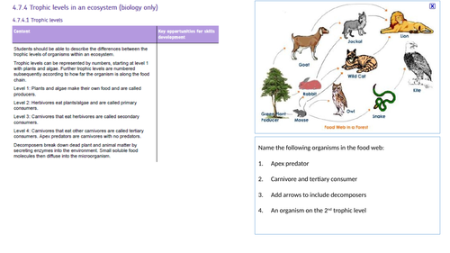 Trophic levels GCSE 9-1 revision booklet | Teaching Resources