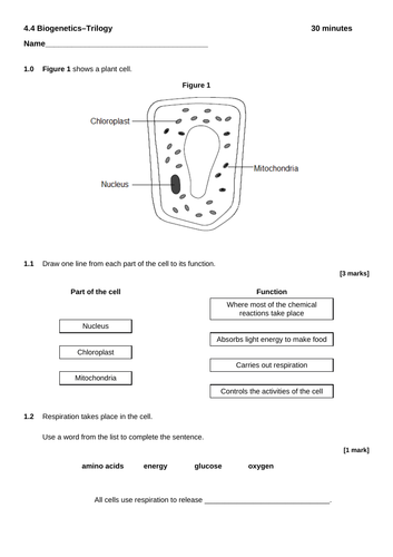 AQA biology - Trilogy - end of unit test - biogenetics