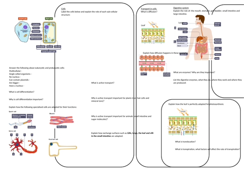 AQA trilogy Biology paper 1 revision | Teaching Resources