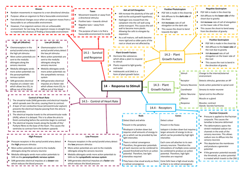 Response to Stimuli Revision Mind Map - AQA AS/A Level Biology (7401/7402)