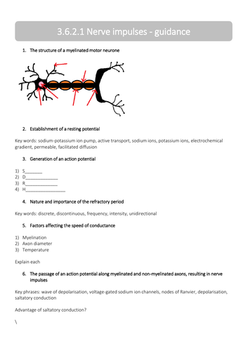 3-6-2-1-nerve-impulses-neurones-new-a-level-biology-revision