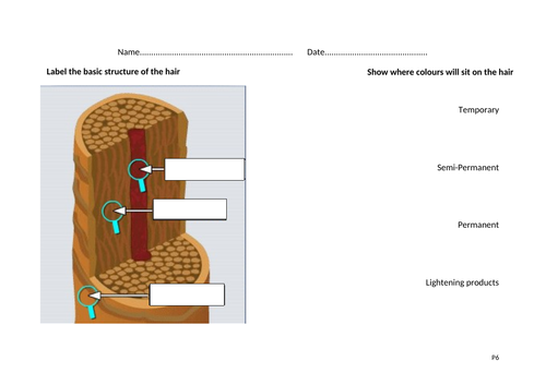 Structure of the hair, scalp and how hair colours sit within the hair