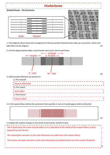 docx, 605.32 KB