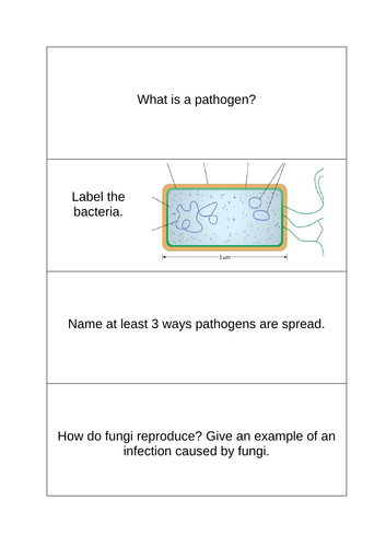 GCSE Trilogy B3 revision flash cards