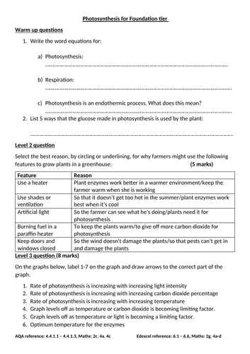 GCSE Biology Photosynthesis revision worksheet | Teaching Resources