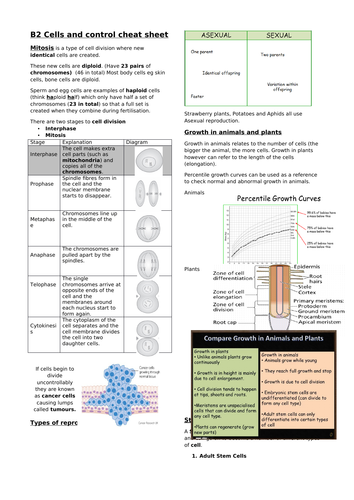 Edexcel B2 biology cells and control revision