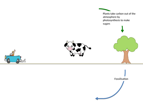 AQA Biology Trilogy - B17 Organising an Ecosystem | Teaching Resources