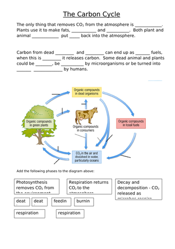 AQA Biology Trilogy - B17 Organising an Ecosystem | Teaching Resources