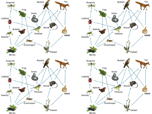 AQA Biology Trilogy - B17 Organising an Ecosystem | Teaching Resources