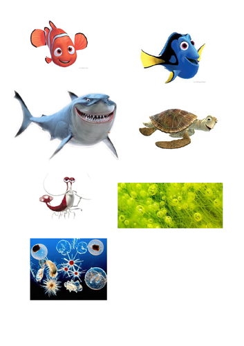 AQA Biology Trilogy - B17 Organising an Ecosystem | Teaching Resources