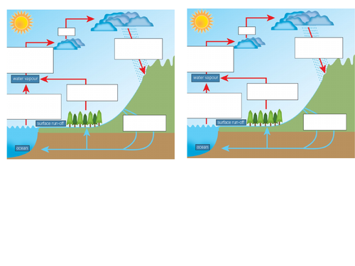 AQA Biology Trilogy - B17 Organising an Ecosystem | Teaching Resources