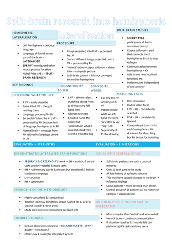 Revision posters for AQA A Level Psychology - Biopsychology | Teaching ...