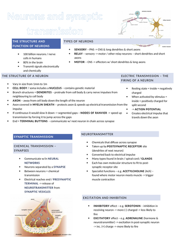 Revision posters for AQA A Level Psychology - Biopsychology | Teaching ...