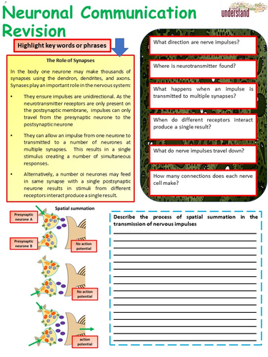 New A Level Biology Neuronal Communication Revision Workbook | Teaching ...
