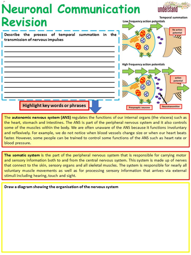 New A Level Biology Neuronal Communication Revision Workbook | Teaching ...