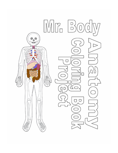 Full-Sized Coloring Anatomy Activity | Teaching Resources