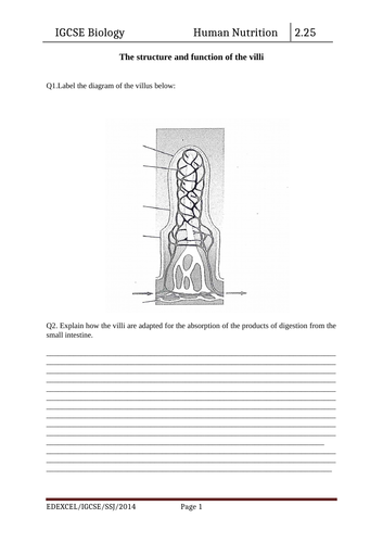 Animal nutrition IGCSE resources | Teaching Resources