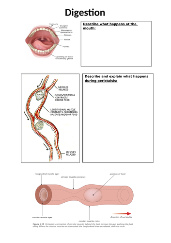 Animal nutrition IGCSE resources | Teaching Resources