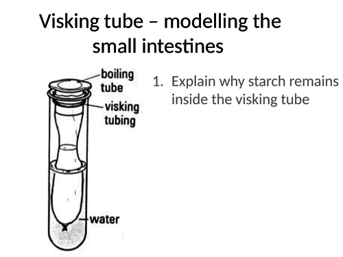Animal nutrition IGCSE resources | Teaching Resources