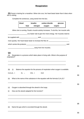 GCSE Bio-Respiration in 30 mins | Teaching Resources