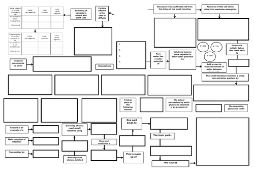 A level Biology concept maps: Cells and transport | Teaching Resources