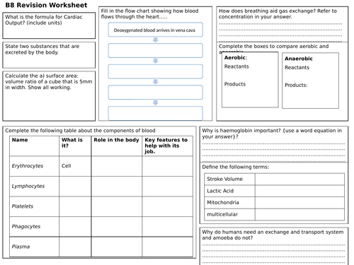 EDEXCEL 9-1 BIOLOGY REVISION SHEET TOPIC B8 EXCHANGE AND TRANSPORT ...