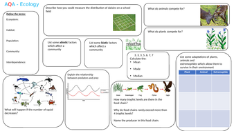 Population definition ecology picture