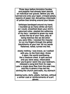 Kamikaze and exposure comparison essay image