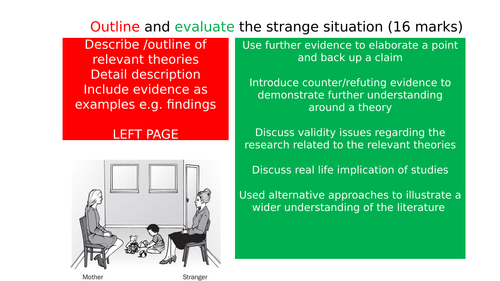 Attachment revision PowerPoint: Strange situation and Maternal deprivation