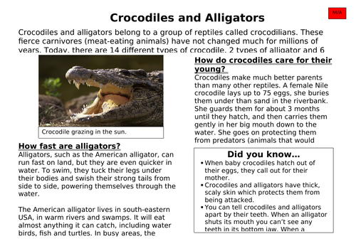 non chronological reports features teaching resources how to make a newspaper article