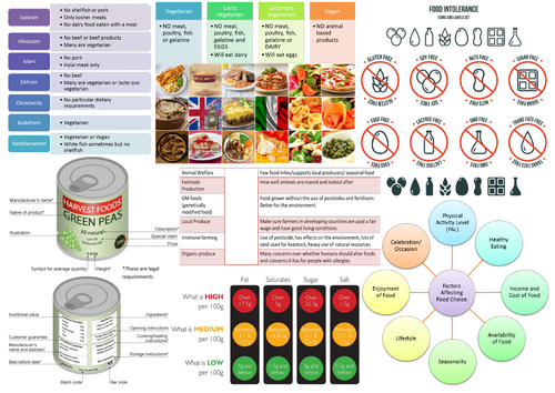 Revision Summary Sheet: Food Choices