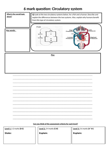 docx, 484.49 KB