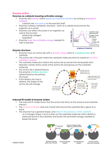 AQA A LEVEL Biology ENZYMES notes for NEW A LEVEL SPEC | Teaching Resources