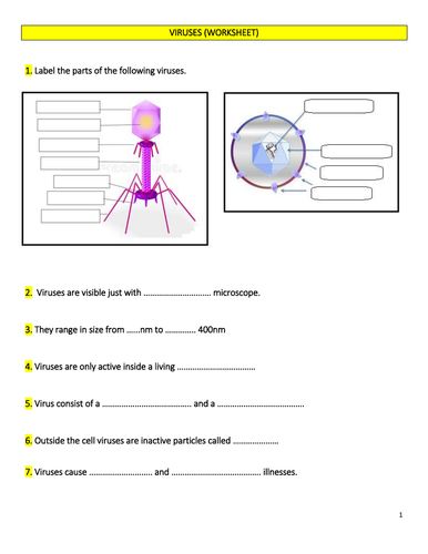 assignment on virus pdf